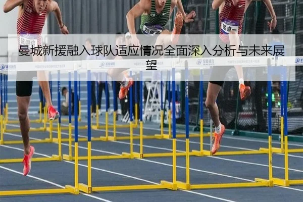 曼城新援融入球队适应情况全面深入分析与未来展望